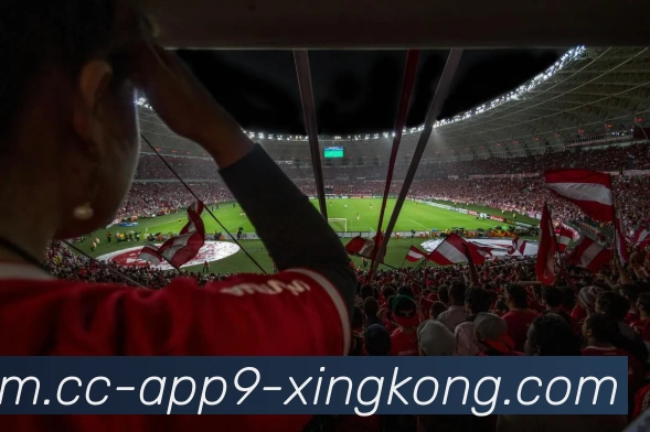 星空体育APP 封面图